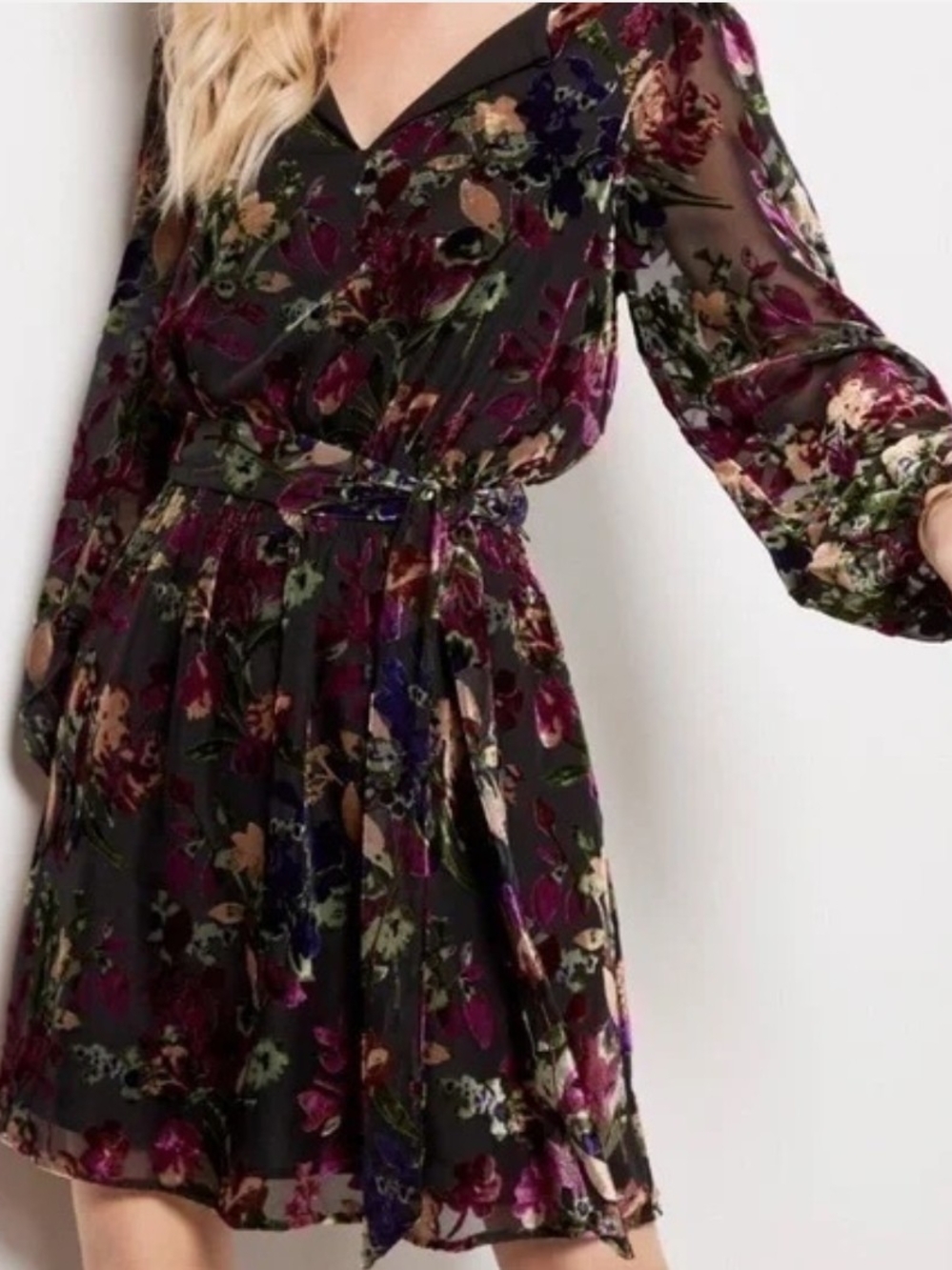 Evereve Floral Velvet Goth Boho Sheer Balloon Sleeve Dress